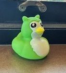 Duolingo Duck