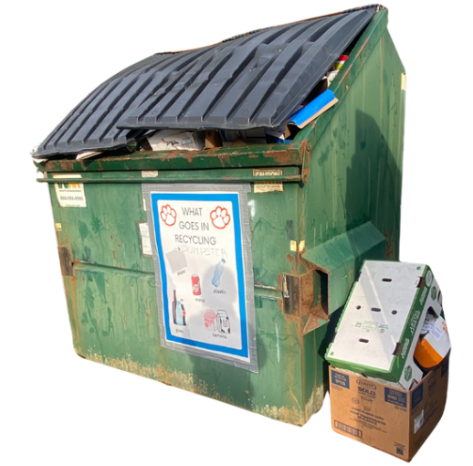What We Throw Away